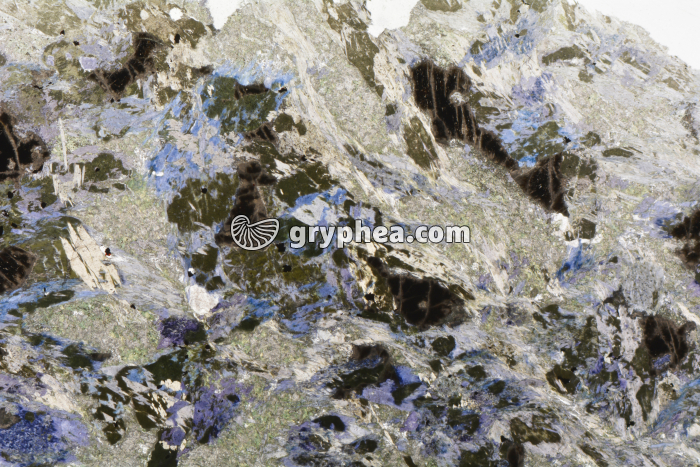 Métagabbro à Glaucophanite LPNA x3,5 - gryphea.com